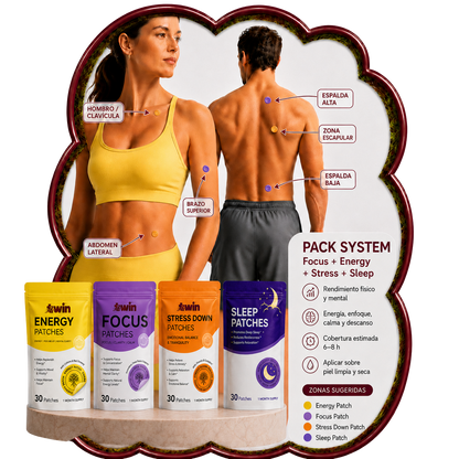 TWIN SYSTEM